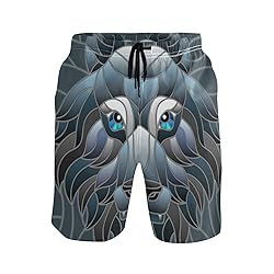 Men's Summer Cool Swim Trunks Quick Dry Abstract
