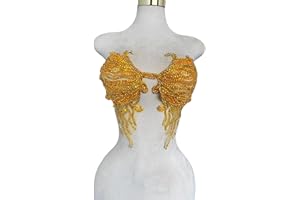 ESOSZNUA Trimimg Patches Pure Handmade with Glass Rhinestones Beads sew on Applique for Dress Chest Decorative Accessories 17X13inches (Gold)