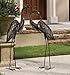 Regal Art & Gift Outdoor Garden Décor, Unique Bird Sculpture, Rustic Metal Bird Statues, Garden Ornaments, Bird Figurine for Lawn, Decorative Sculpture, Heron, Bronze, Back Preening, 43