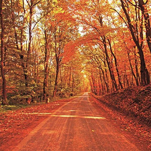 10x10ft Golden Autumn Harvest Forest Path Photography Maple Leaf Beauty Backdrops Wedding Background Photocall 003