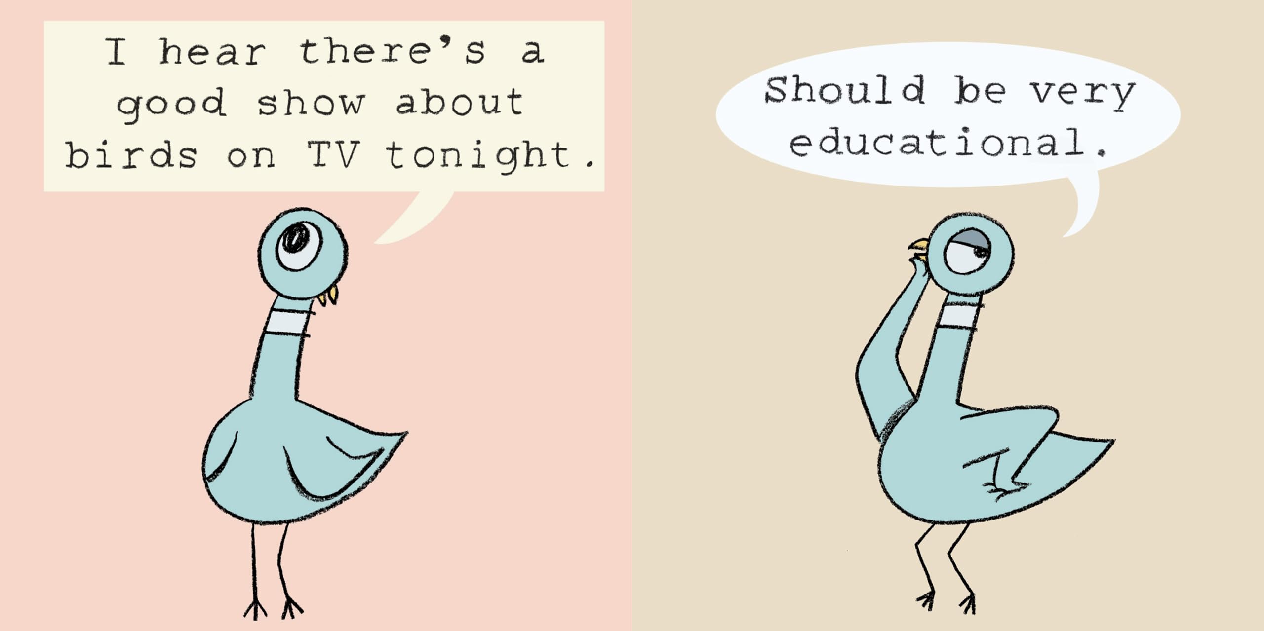 Don't Let the Pigeon Stay Up Late!