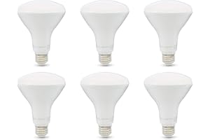 �鶹�� Basics 65W Equivalent, Soft White, Dimmable, 10,000 Hour Lifetime, BR30 LED Light Bulb | 6-Pack