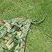 Bluecookies 6.5' x 9.8' Military Camo Netting Army Woodland Camouflage Netting Hunting Camping Net
