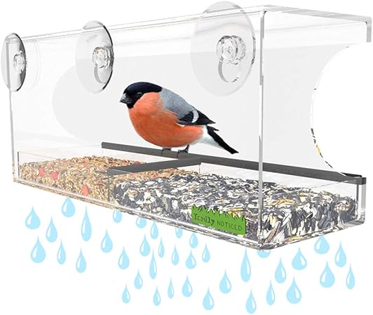 Amazon Com Yardly Noticed Window Bird Feeder With Removable Tray