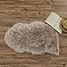 OJIA Faux Sheepskin Fur Rug Soft Fluffy Carpets Chair Couch Cover Seat Area Rugs for Bedroom Sofa Floor Living Room (2 x 3ft, Light Coffee)