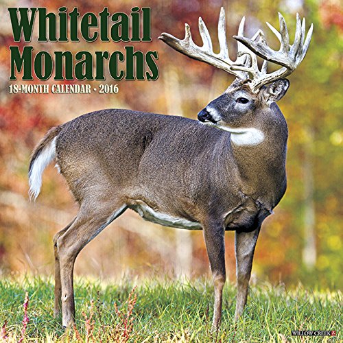 2016 Whitetail Monarchs Wall Calendar