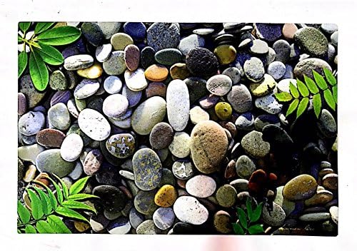 STOP N SHOPP 3D Printed Non-Slip Door Mat Set - 16 x 24 Inch 40 * 60 cm, Multicolour