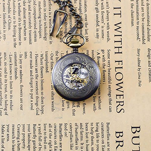 Zeiger New Mens Classic Mechanical Steampunk Pocket Watch, Stainless Steel Copper Case Skeleton Roman Design, Pocket Watch with Chain (Bronze)
