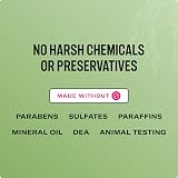Mielle Organics Rosemary Mint Strengthening Shampoo for Dry Weak Brittle Hair view 7