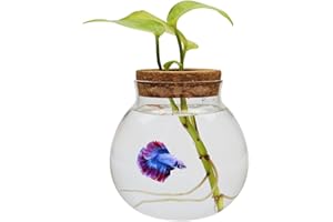 CUSNESTAL Small Betta Fish Tank Glass Fish Bowls for Betta Fish Goldfish, Aquaponic Fish Tank and Plants Cuttings Planter Terrarium Desktop Decorations Gifts