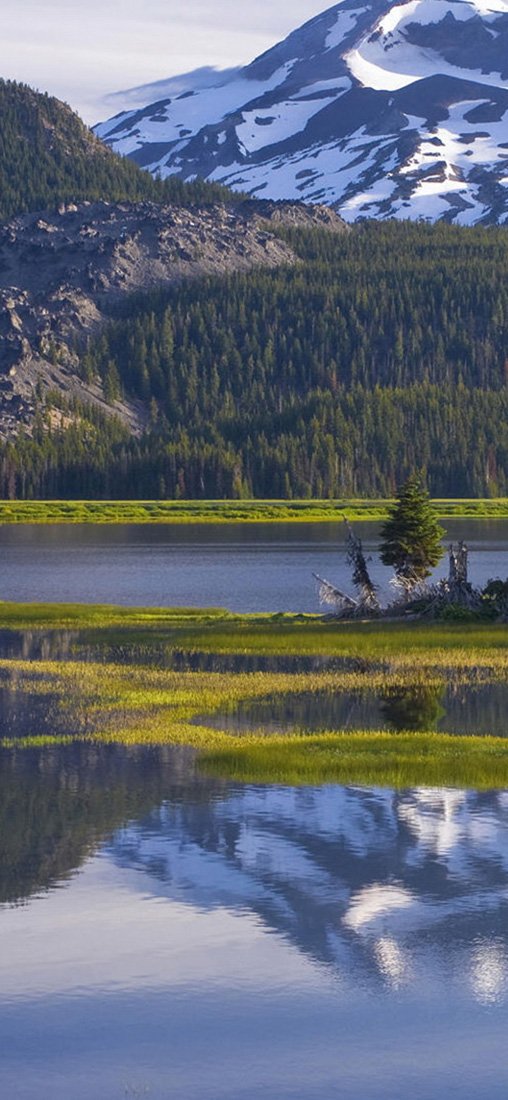 PeelitStickit, Beautiful Nature Wall Murals, ID-1304, vinyl