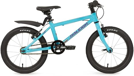 raleigh childrens bike