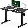 FLEXISPOT One-Piece Electric Standing Desk, 40 x 24 Inches Adjustable Desk with Seamless Desktop, Memory Controller Height Adjustment (Black Frame + Black Desktop, One Package)