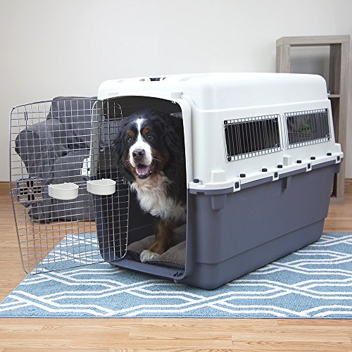 Plastic Kennels Rolling Plastic Airline Approved Wire Door Travel Dog