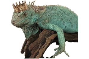 HAICHEN TEC Lizard Crown Lizard Clothes Accessories Gold Alloy Crown Cool Reptile Costume Photo Props Party Jewelry Lizard Clothes for Bearded Dragons Leopard Gecko Iguana Amphibians (Crown)