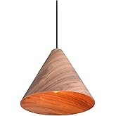 Golden Lighting 3988-13 Conique 13" Wide Pendant - Dark Walnut