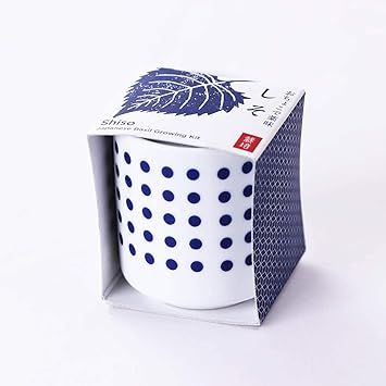 Amazon 観葉植物 おちょこで薬味栽培セット 01 しそ ブルー 栽培キット ガーデニング 野菜 室内 家具の里 栽培キット 通販