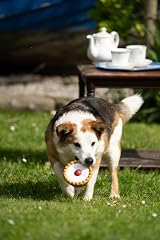 Petface Cherry Bakewell Latex Dog Toy with Built-In Squeaker Pack of 1 view 2