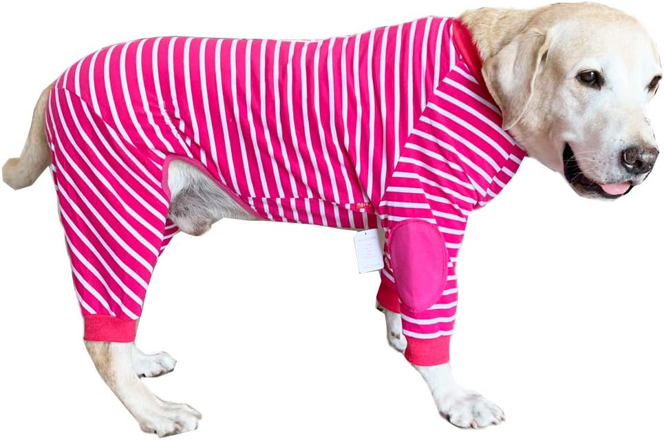 BT Bear Large Dog Clothes