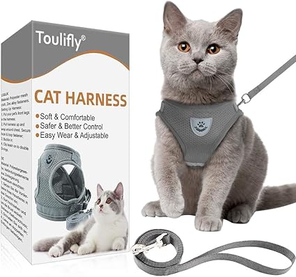 Toulifly Harnais Pour Chat Avec Laisse Reglable Pour Petit Chat Et Chien Escape Proof Cat Harnais Avec Laisse Xs Amazon Fr Cuisine Maison