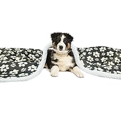 long rich Printed Dog paw Flannel Reverse to Sherpa