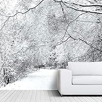 Wall Mural Foggy Forest Removable Self-Adhesive Wallpaper Wall Decoration for Bedroom Living Room - 66x96 inches