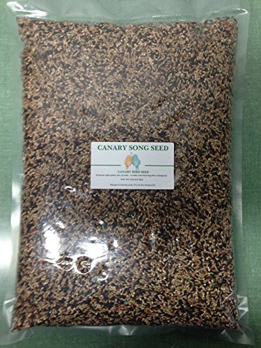 Canary Song Seed 5lb-Improve singing