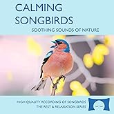 Calming Songbirds - Nature Sounds Recording of Bird Calls - For Meditation, Relaxation and Creating a Soothing Atmosphere - N