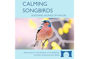 Calming Songbirds - Nature Sounds Recording Of Bird Calls - For Meditation, Relaxation and Creating a Soothing Atmosphere - N