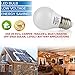 ChiChinLighting 12volt LED Bulb E26 E27 Standard Base 12vac 12vdc Off Grid Cabin RV Camper Trailer Solar Systems Warm White 2700k