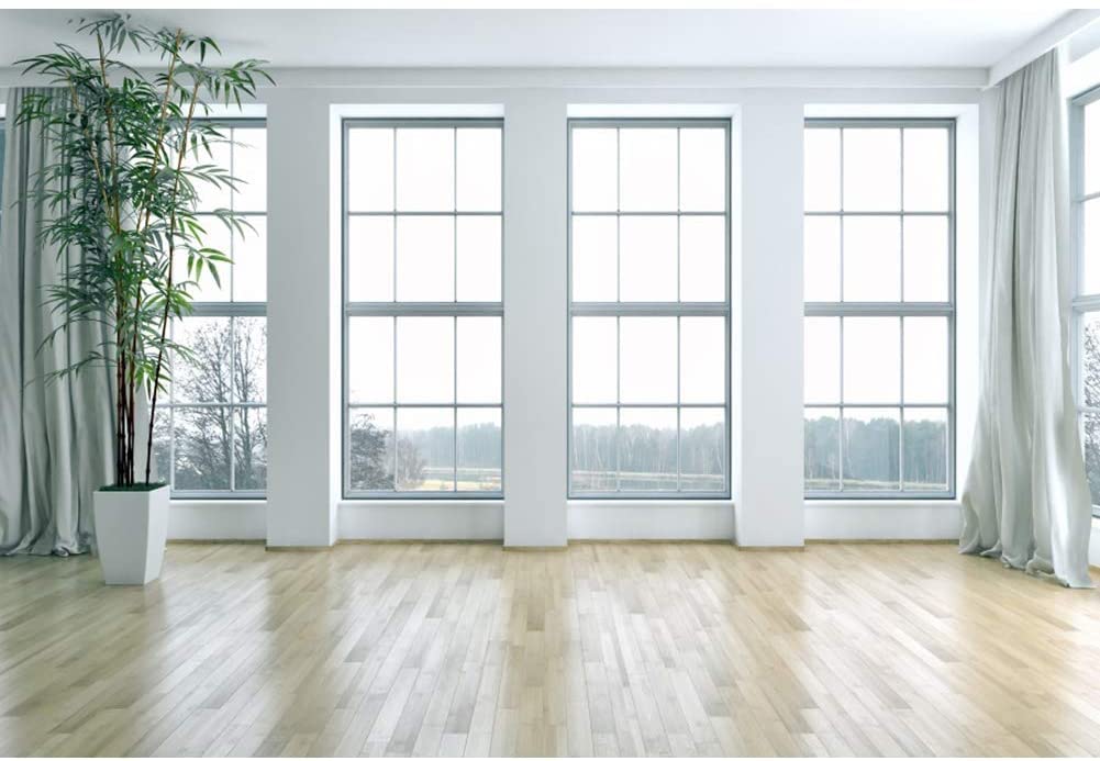 Renaiss 9x6ft French Windows Living Room Backdrop Wooden Floor Empty Room Photography Background Plants Modern Interior Office Decor Video Conferencing Studio Props