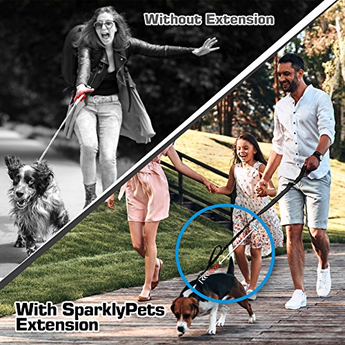 3 in 1 Short Dog Leash - Shock-Absorbing Bungee with Padded Handle - Elastic Attachment for Your Regular Leash, Control Handle, or Traffic Leash â€“ Suitable for Medium and Large Dogs (Black New)