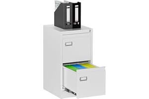 RAVIGIN 2 Drawer File Cabinet with Lock,Vertical Filing Cabinet for Home Office,Metal File Cabinets with Lock,Storage Files f