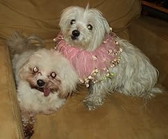 An image posted by the author.