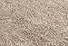 SAFAVIEH California Shag Collection Area Rug - 6'7
