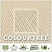 ColourTree 28' x 28' x 28' Beige Triangle CTAPT28 Sun Shade Sail Canopy Mesh Fabric UV Block UPF50 - Commercial Heavy Duty - 190 GSM - 3 Years Warranty (We Make Custom Size)