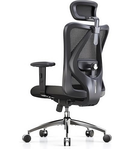 ELABEST T23 Ergonomic Office Chair With 2D Lumbar Netherlands