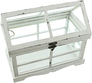 Dekoleidenschaft Mini-Gewächshaus “Shabby”, 37x21x31 cm, kleines Terrarium, Treibhaus, Miniglashaus, Zimmergewächshaus