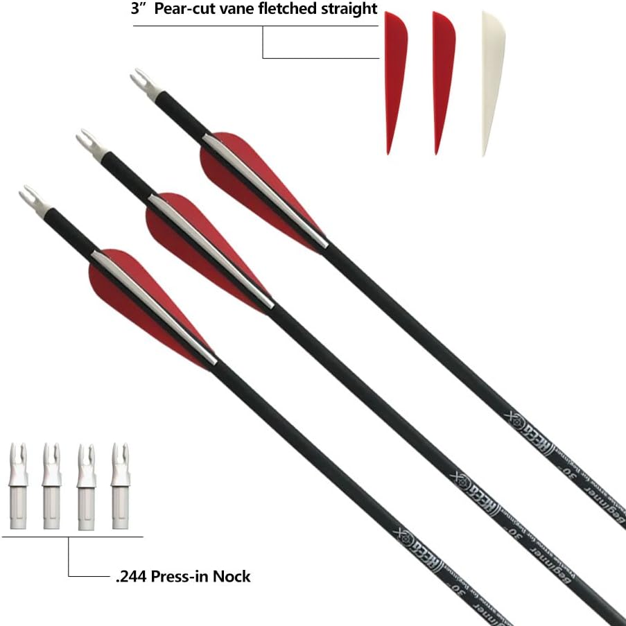 REEGOX Archery Hunting Practice Arrows for Compound and Recurve Bow-30 inch Target Arrows for Youth & Adults with Removable Tips(Pack of 12) : Sports & Outdoors