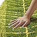 MustMat Non Slip Kitchen Rugs and Mats Cute Leaf Shape Area Rugs Nice for Kitchen Floor/Bathroom/Bedroom 17.7