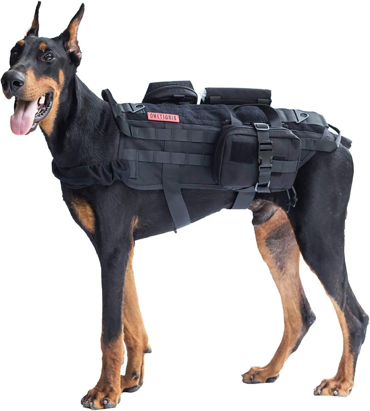 dog molle