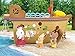 Calico Critters Adventure Treasure Ship