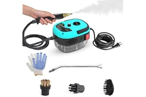 Ailgely 2500W High Temperature Pressurized Steam,Handheld Steam Cleaners for Home Use,Portable Steam Cleaning Machine,10S Fast Heating,with 3 Brush Heads (Blue)