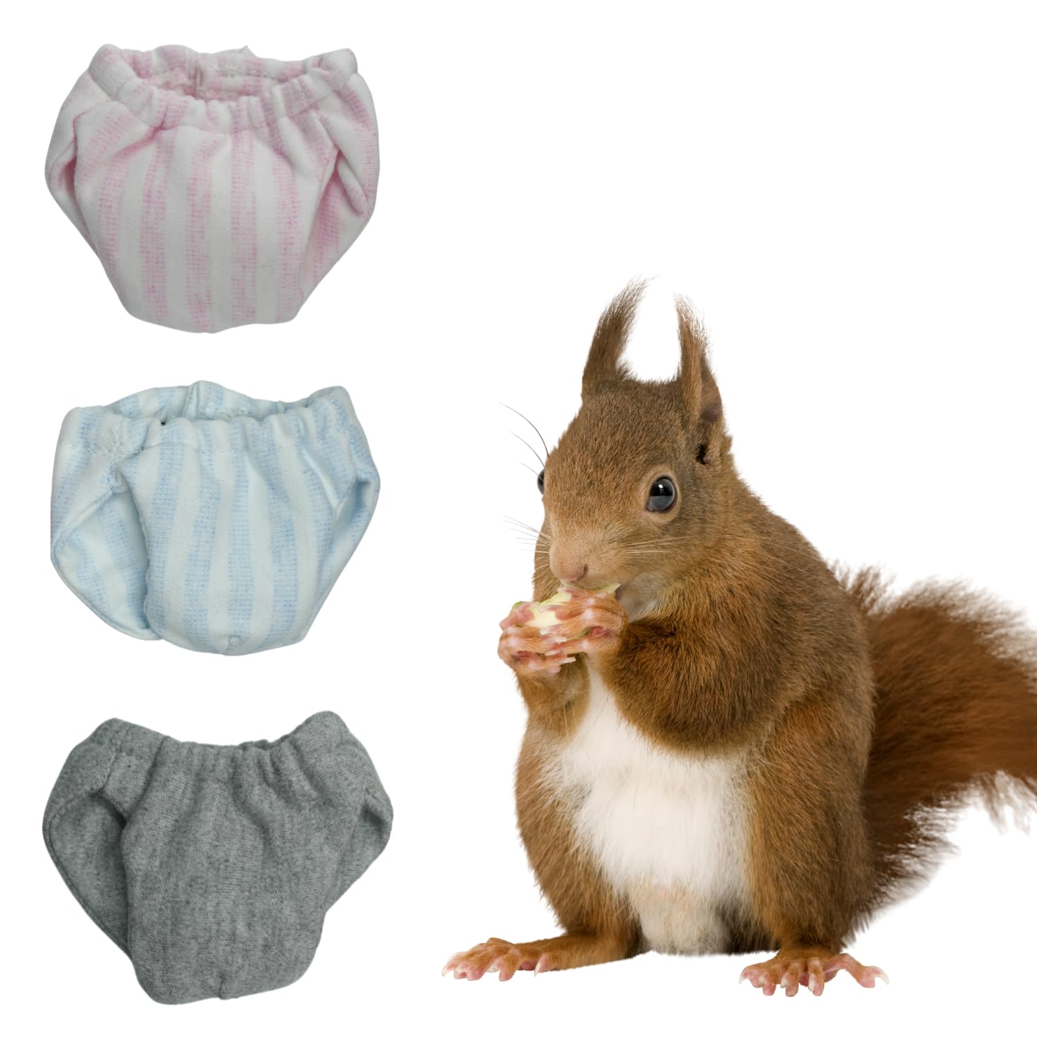 Photo 1 of Washable Squirrel Diapers - Extra Small Reusable Pet Cloth Diapers Highly Absorbent Leak-Proof Urine Wet Pants with Adjustable Waistline for Indoor Squirrel (3 Pack, M (3.9" - 6.3"), Count, 3)