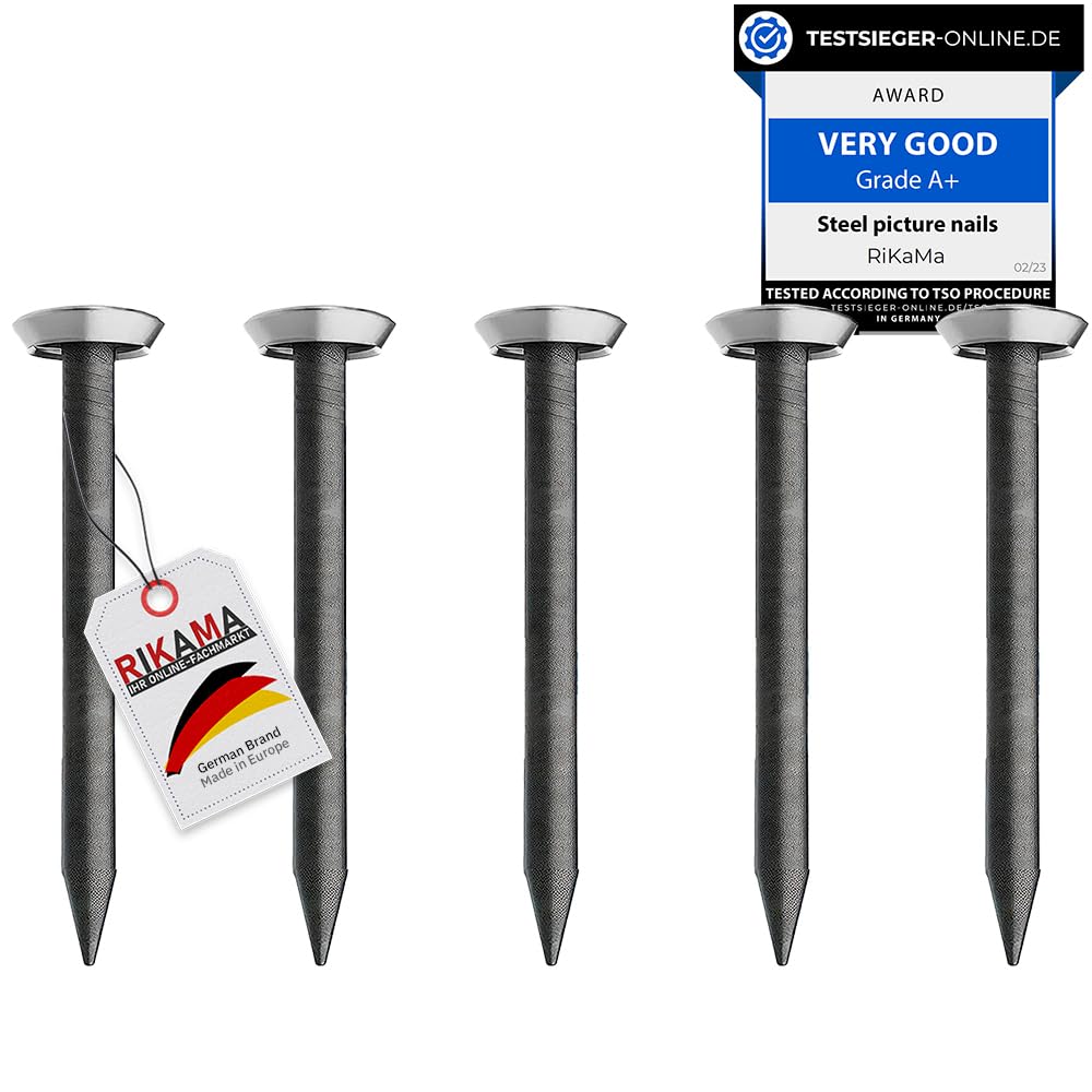 30 Nails with 25 mm Length - Steel Nails for Concrete, Brick, Plaster & Wood - Hardened Steel for Picture Hanging - Made in Europe (Silver Head, 25 mm)