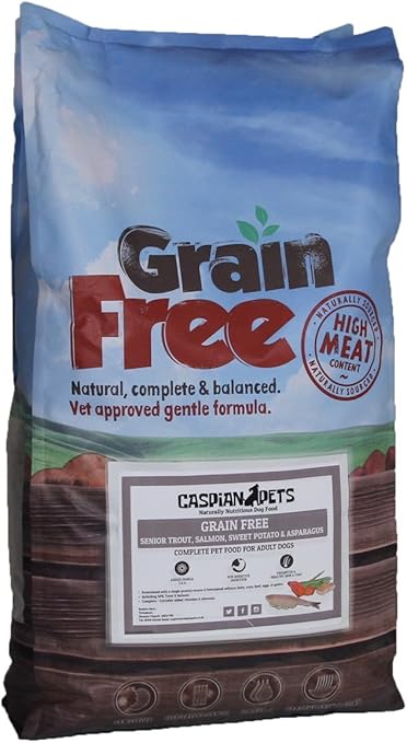 dog car mat non slip