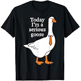 Today I'm A Serious Goose T-Shirt, Small, Black