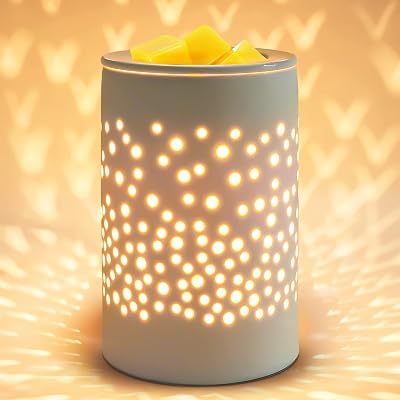 Bobolyn Ceramic Wax Warmer Halogen Bulb 220V 25W Gift Wedding Spa