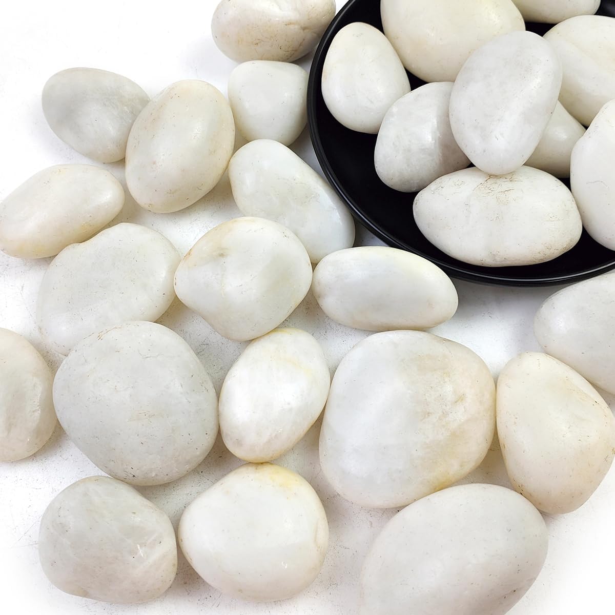 Hardscaping Materials - 40LB White River Rocks - 2-3 inch High Polished Decorative Pebbles, Polished Stones for Landscaping, Natural River Rocks for Outdoor Décor, Polished Pebbles for Plants.