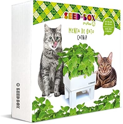 SeedBox SBMIMG Kit huerto Urbano de Menta, Blanco, 20x25x25 cm ...